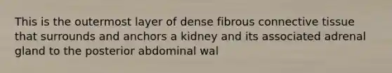 This is the outermost layer of dense fibrous connective tissue that surrounds and anchors a kidney and its associated adrenal gland to the posterior abdominal wal