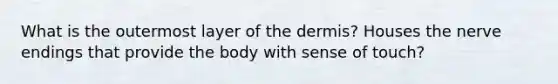 What is the outermost layer of the dermis? Houses the nerve endings that provide the body with sense of touch?