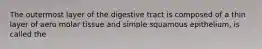 The outermost layer of the digestive tract is composed of a thin layer of aero molar tissue and simple squamous epithelium, is called the