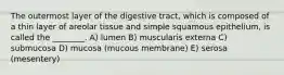 The outermost layer of the digestive tract, which is composed of a thin layer of areolar tissue and simple squamous epithelium, is called the ________. A) lumen B) muscularis externa C) submucosa D) mucosa (mucous membrane) E) serosa (mesentery)