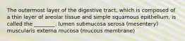 The outermost layer of the digestive tract, which is composed of a thin layer of areolar tissue and simple squamous epithelium, is called the ________. lumen submucosa serosa (mesentery) muscularis externa mucosa (mucous membrane)