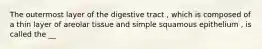 The outermost layer of the digestive tract , which is composed of a thin layer of areolar tissue and simple squamous epithelium , is called the __