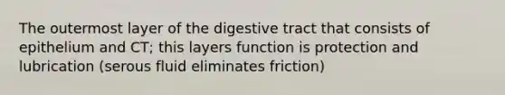 The outermost layer of the digestive tract that consists of epithelium and CT; this layers function is protection and lubrication (serous fluid eliminates friction)