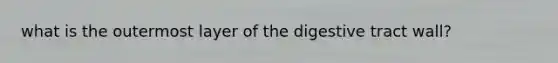 what is the outermost layer of the digestive tract wall?