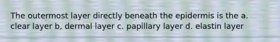 The outermost layer directly beneath the epidermis is the a. clear layer b, dermal layer c. papillary layer d. elastin layer