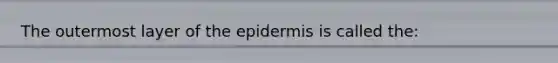 The outermost layer of <a href='https://www.questionai.com/knowledge/kBFgQMpq6s-the-epidermis' class='anchor-knowledge'>the epidermis</a> is called the: