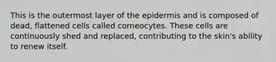 This is the outermost layer of the epidermis and is composed of dead, flattened cells called corneocytes. These cells are continuously shed and replaced, contributing to the skin's ability to renew itself.