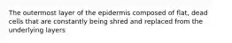 The outermost layer of the epidermis composed of flat, dead cells that are constantly being shred and replaced from the underlying layers