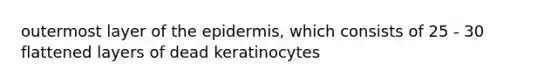 outermost layer of the epidermis, which consists of 25 - 30 flattened layers of dead keratinocytes