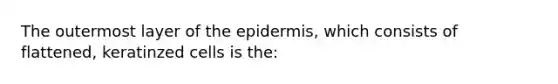 The outermost layer of the epidermis, which consists of flattened, keratinzed cells is the: