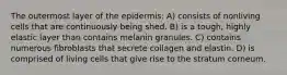 The outermost layer of the epidermis: A) consists of nonliving cells that are continuously being shed. B) is a tough, highly elastic layer than contains melanin granules. C) contains numerous fibroblasts that secrete collagen and elastin. D) is comprised of living cells that give rise to the stratum corneum.