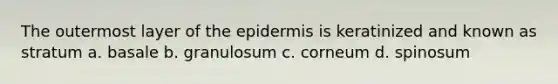 The outermost layer of the epidermis is keratinized and known as stratum a. basale b. granulosum c. corneum d. spinosum