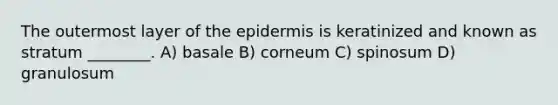 The outermost layer of the epidermis is keratinized and known as stratum ________. A) basale B) corneum C) spinosum D) granulosum