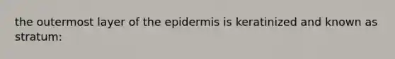 the outermost layer of the epidermis is keratinized and known as stratum: