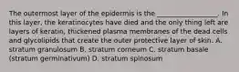 The outermost layer of the epidermis is the __________________. In this layer, the keratinocytes have died and the only thing left are layers of keratin, thickened plasma membranes of the dead cells and glycolipids that create the outer protective layer of skin. A. stratum granulosum B. stratum corneum C. stratum basale (stratum germinativum) D. stratum spinosum