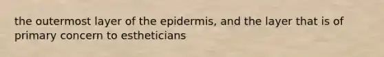 the outermost layer of the epidermis, and the layer that is of primary concern to estheticians