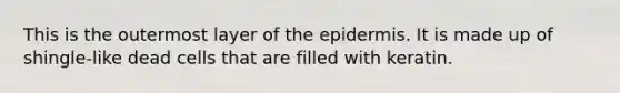 This is the outermost layer of the epidermis. It is made up of shingle-like dead cells that are filled with keratin.