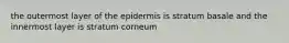 the outermost layer of the epidermis is stratum basale and the innermost layer is stratum corneum