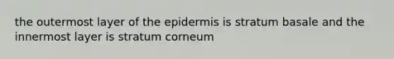 the outermost layer of the epidermis is stratum basale and the innermost layer is stratum corneum