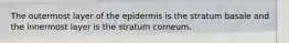 The outermost layer of the epidermis is the stratum basale and the innermost layer is the stratum corneum.