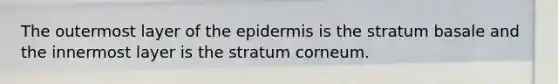 The outermost layer of <a href='https://www.questionai.com/knowledge/kBFgQMpq6s-the-epidermis' class='anchor-knowledge'>the epidermis</a> is the stratum basale and the innermost layer is the stratum corneum.