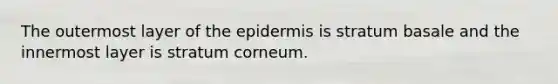 The outermost layer of the epidermis is stratum basale and the innermost layer is stratum corneum.