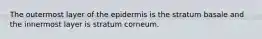 The outermost layer of the epidermis is the stratum basale and the innermost layer is stratum corneum.