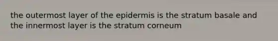 the outermost layer of <a href='https://www.questionai.com/knowledge/kBFgQMpq6s-the-epidermis' class='anchor-knowledge'>the epidermis</a> is the stratum basale and the innermost layer is the stratum corneum