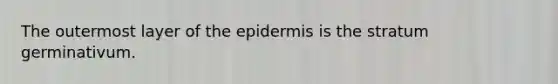 The outermost layer of the epidermis is the stratum germinativum.