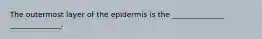 The outermost layer of the epidermis is the ______________ ______________.