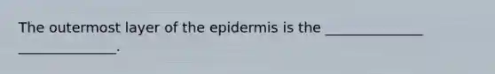 The outermost layer of the epidermis is the ______________ ______________.