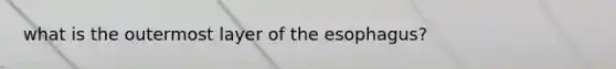 what is the outermost layer of the esophagus?