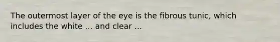 The outermost layer of the eye is the fibrous tunic, which includes the white ... and clear ...