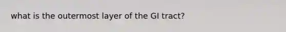 what is the outermost layer of the GI tract?