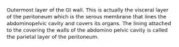 Outermost layer of the GI wall. This is actually the visceral layer of the peritoneum which is the serous membrane that lines the abdominopelvic cavity and covers its organs. The lining attached to the covering the walls of the abdomino pelvic cavity is called the parietal layer of the peritoneum.