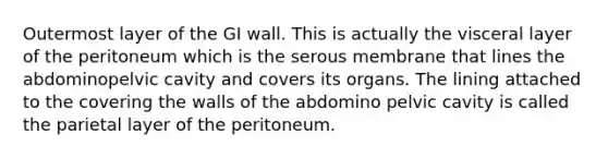 Outermost layer of the GI wall. This is actually the visceral layer of the peritoneum which is the serous membrane that lines the abdominopelvic cavity and covers its organs. The lining attached to the covering the walls of the abdomino pelvic cavity is called the parietal layer of the peritoneum.