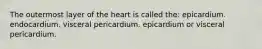 The outermost layer of the heart is called the: epicardium. endocardium. visceral pericardium. epicardium or visceral pericardium.