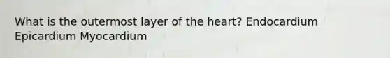 What is the outermost layer of <a href='https://www.questionai.com/knowledge/kya8ocqc6o-the-heart' class='anchor-knowledge'>the heart</a>? Endocardium Epicardium Myocardium