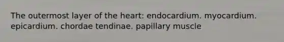 The outermost layer of the heart: endocardium. myocardium. epicardium. chordae tendinae. papillary muscle