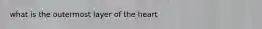 what is the outermost layer of the heart