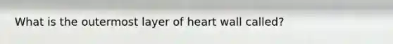 What is the outermost layer of heart wall called?