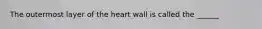 The outermost layer of the heart wall is called the ______