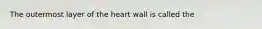 The outermost layer of the heart wall is called the