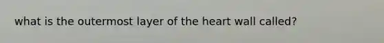 what is the outermost layer of the heart wall called?