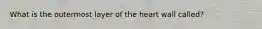 What is the outermost layer of the heart wall called?