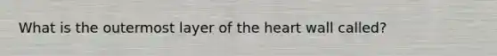 What is the outermost layer of the heart wall called?