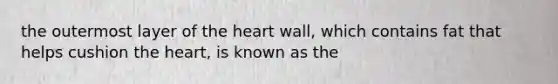 the outermost layer of the heart wall, which contains fat that helps cushion the heart, is known as the