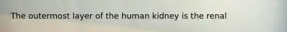 The outermost layer of the human kidney is the renal