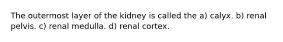 The outermost layer of the kidney is called the a) calyx. b) renal pelvis. c) renal medulla. d) renal cortex.