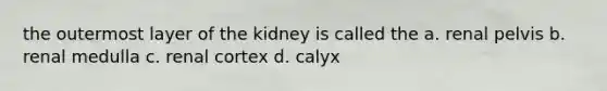 the outermost layer of the kidney is called the a. renal pelvis b. renal medulla c. renal cortex d. calyx